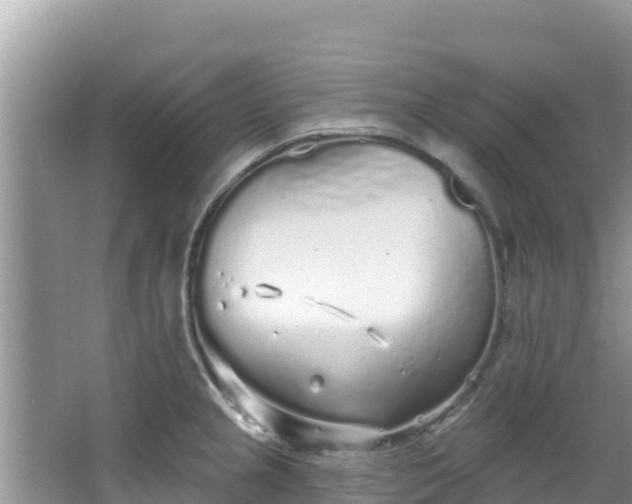 X0000067491237200604101247