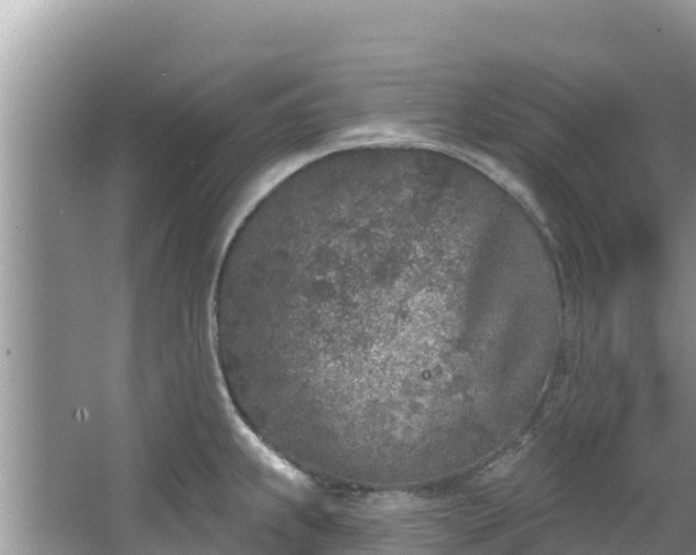 X0000067491239200604101247