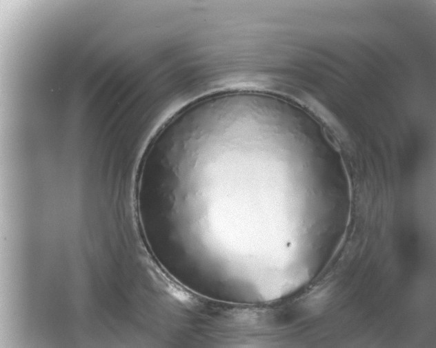 X0000067491240200604101247