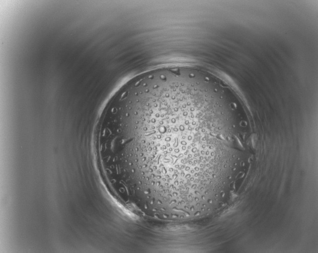 X0000067491243200604101247