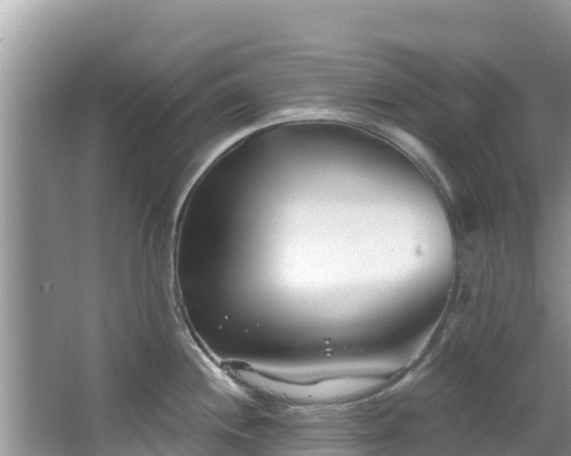 X0000067491244200604101247