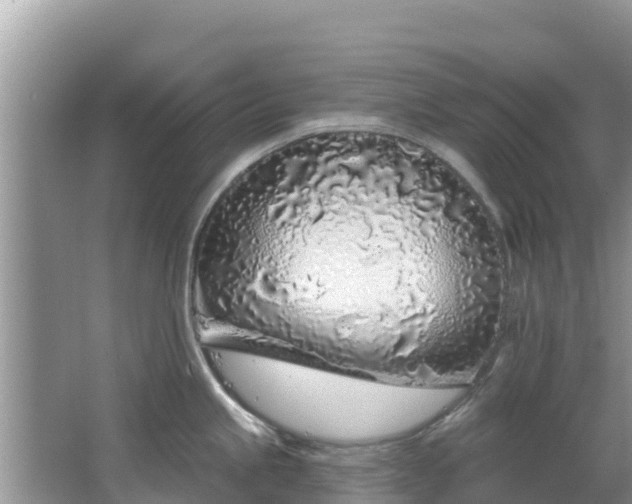 X0000067491245200604101247