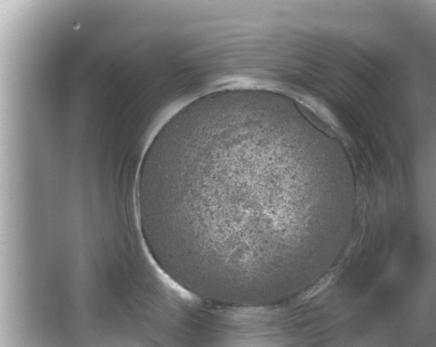 X0000067491247200604101247