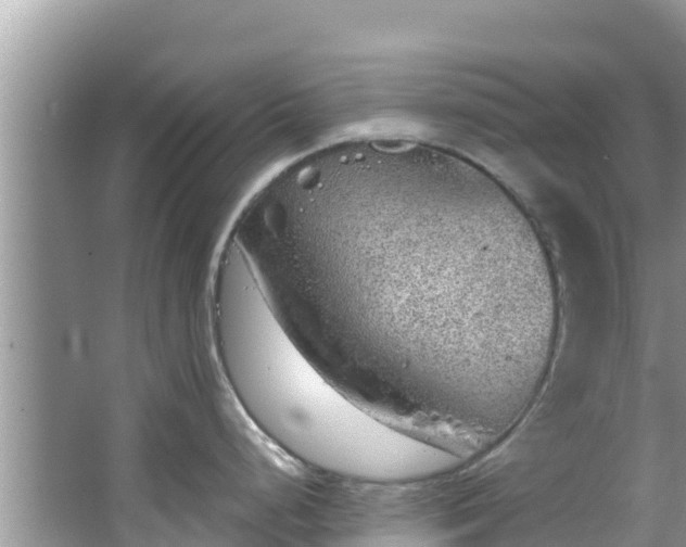 X0000067491248200604101247