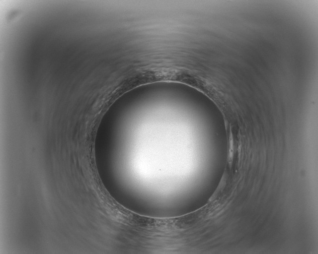 X0000067491249200604101246