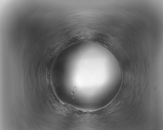 X0000067491250200604101246