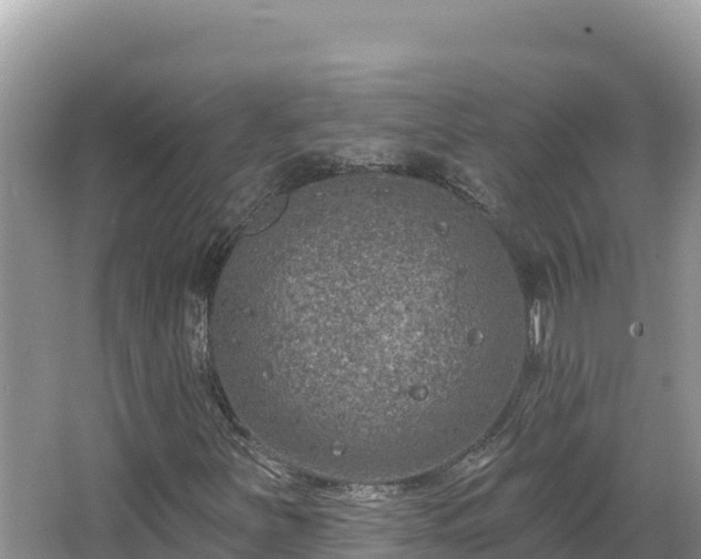 X0000067491251200604101246