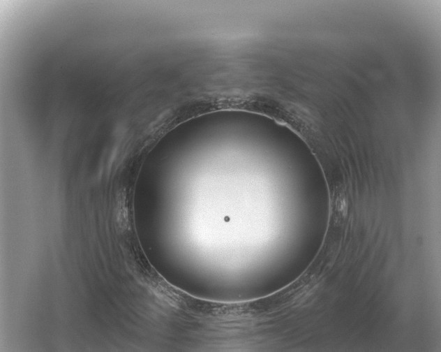 X0000067491252200604101246