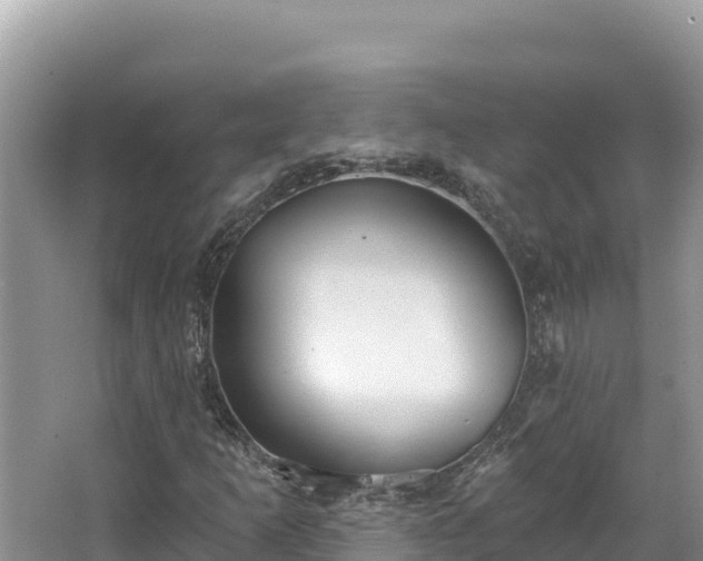 X0000067491253200604101246