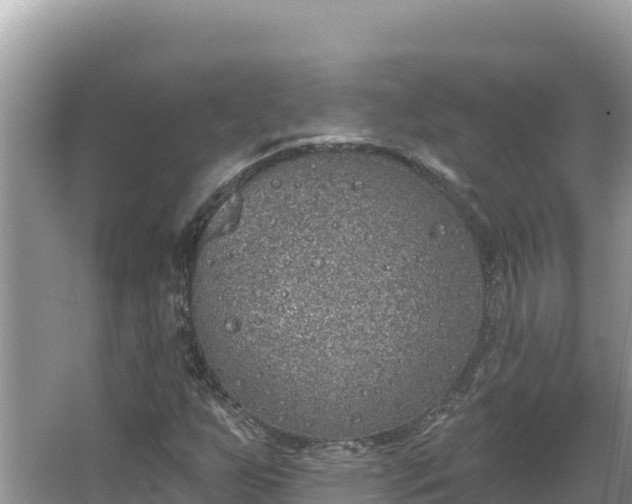 X0000067491255200604101246