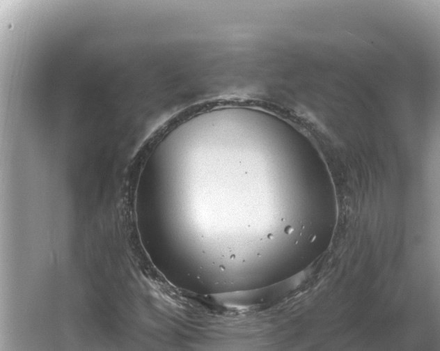 X0000067491256200604101246