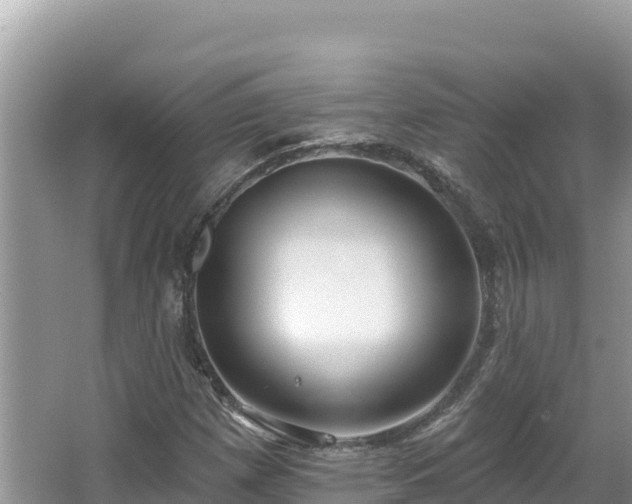 X0000067491257200604101246