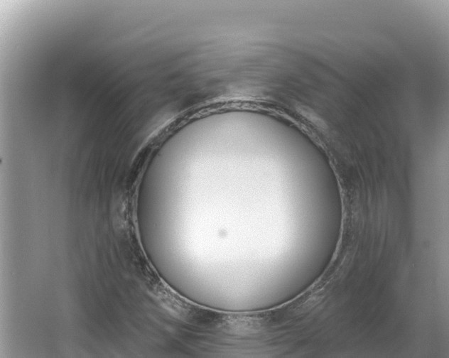 X0000067491258200604101246