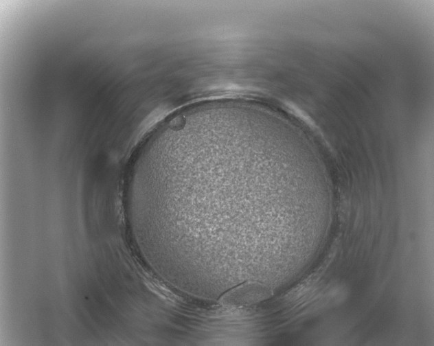 X0000067491259200604101246