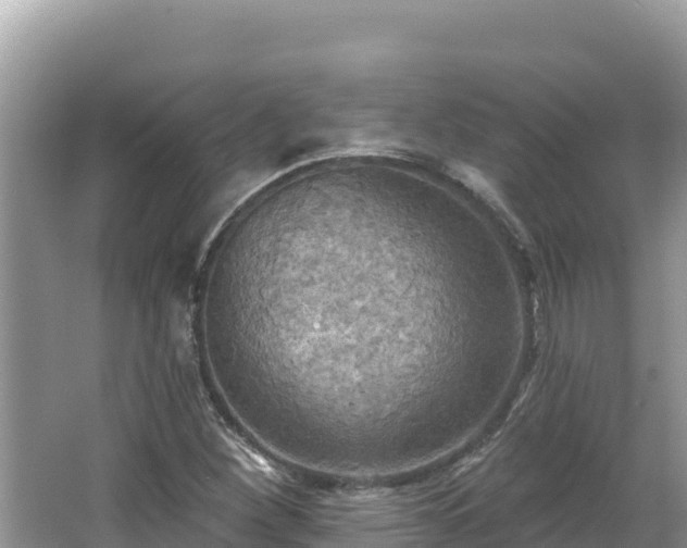 X0000067491260200604101246