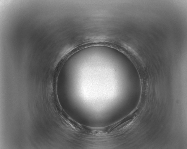 X0000067491261200604101246