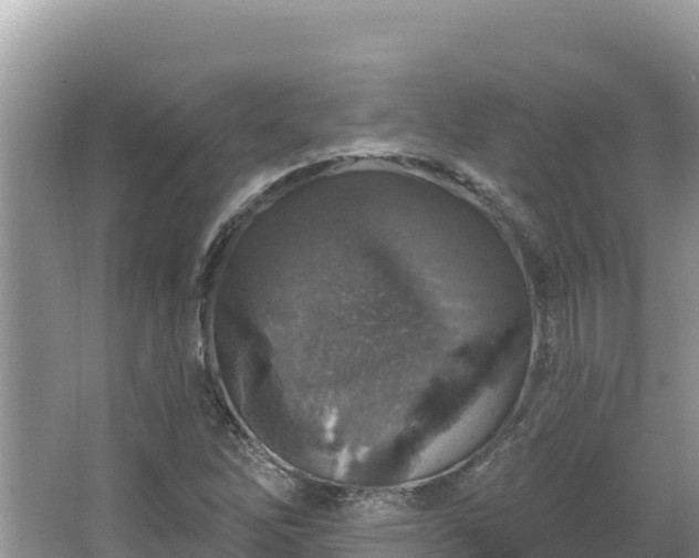 X0000067491262200604101246