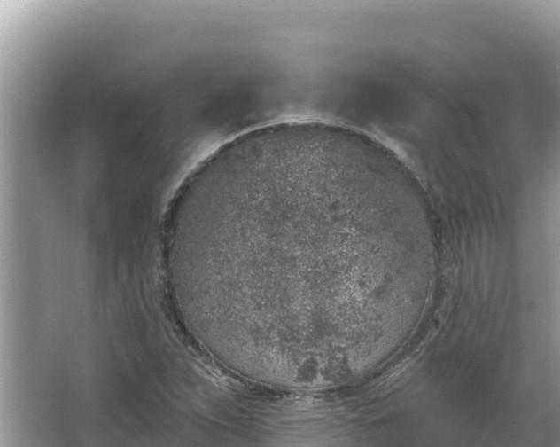 X0000067491263200604101246