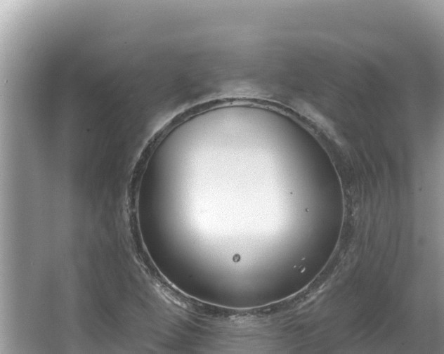 X0000067491264200604101246