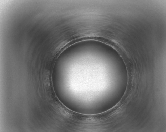 X0000067491265200604101246