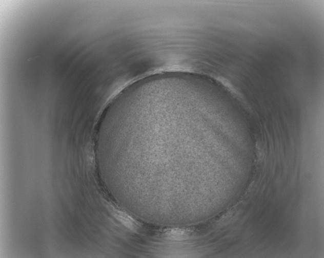 X0000067491266200604101246