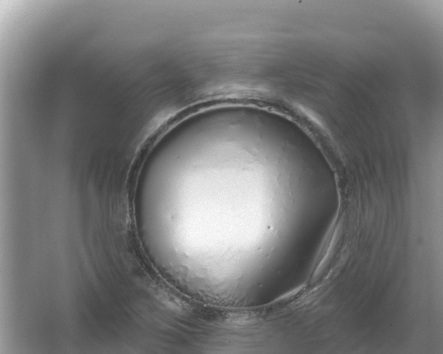 X0000067491267200604101246