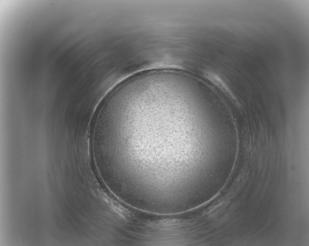 X0000067491268200604101246