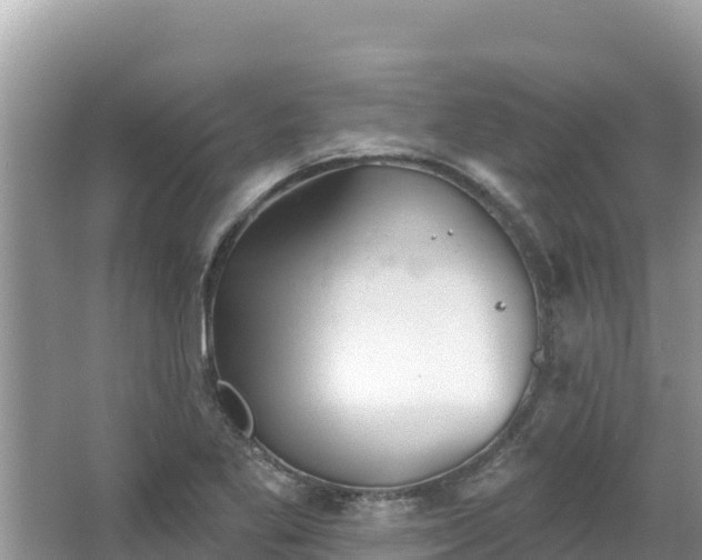 X0000067491269200604101246