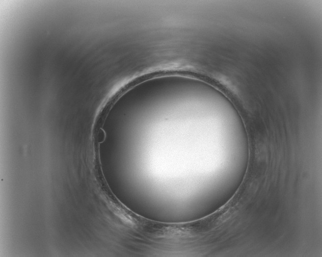 X0000067491270200604101246