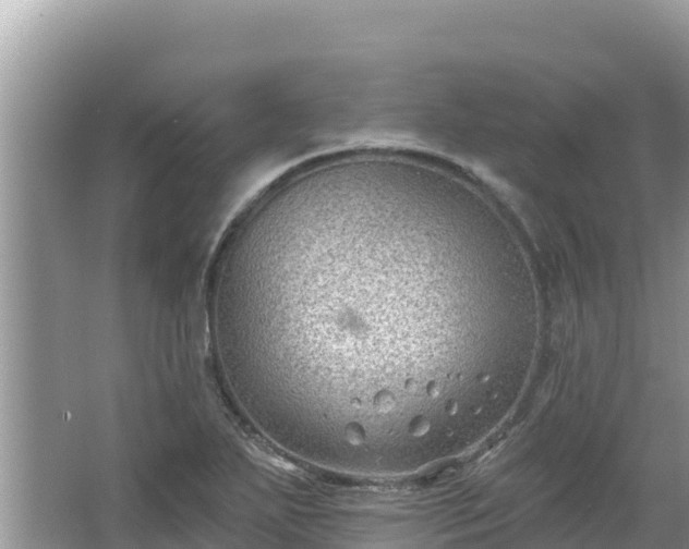 X0000067491271200604101246