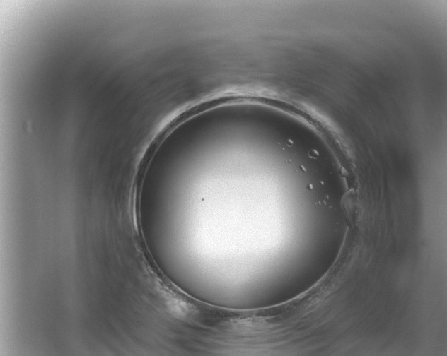 X0000067491272200604101246