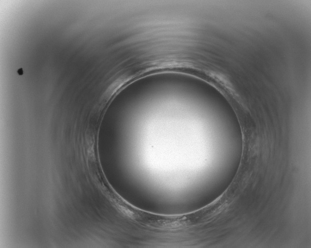 X0000067491273200604101246