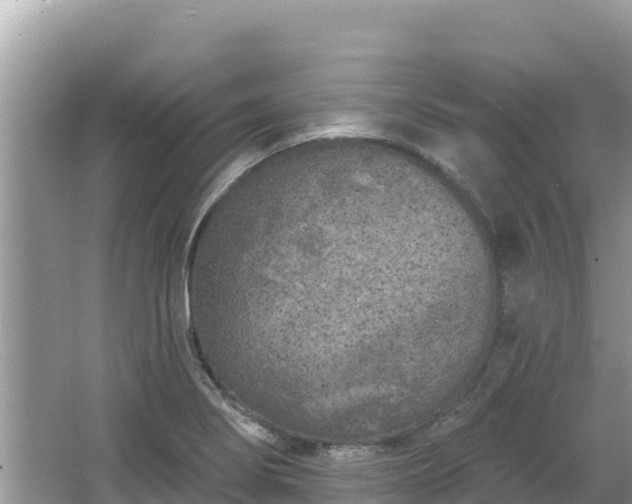 X0000067491274200604101246