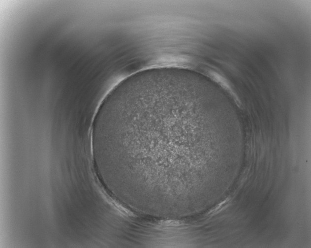 X0000067491275200604101246