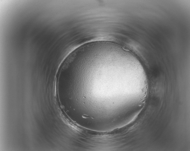 X0000067491276200604101246