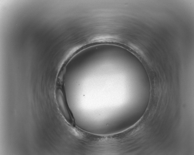 X0000067491277200604101246