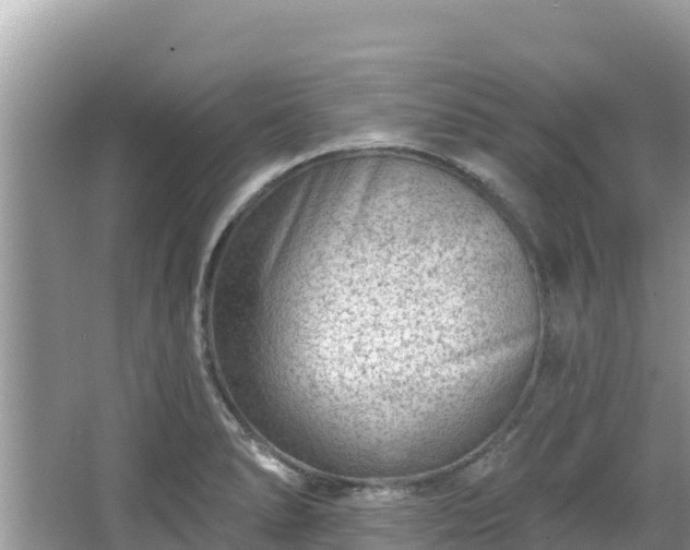 X0000067491278200604101246