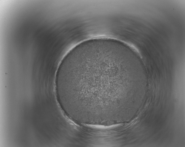 X0000067491279200604101246