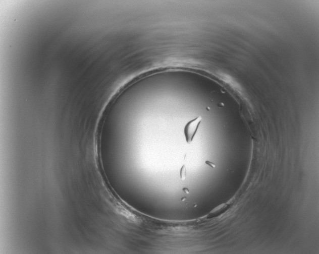 X0000067491280200604101246