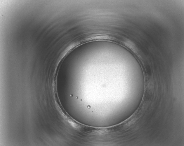 X0000067491282200604101246