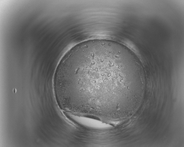 X0000067491283200604101246