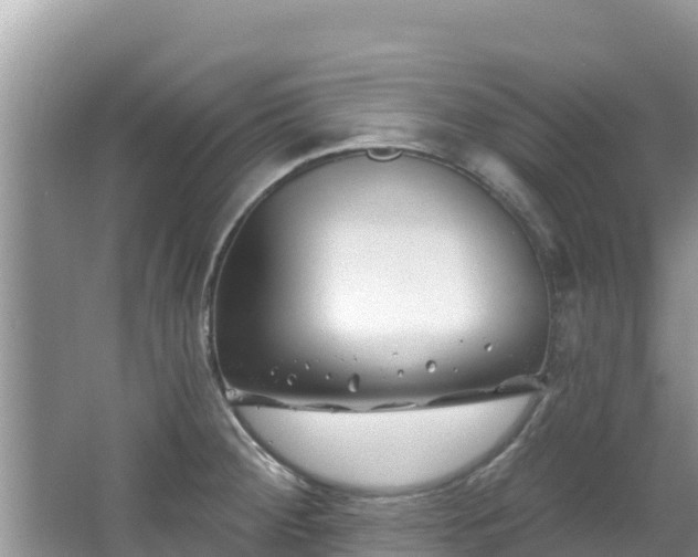 X0000067491284200604101246