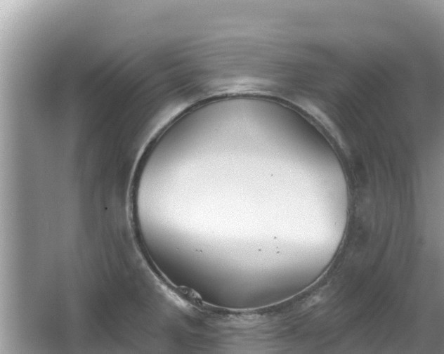 X0000067491285200604101245