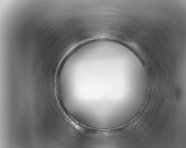 X0000067491286200604101245