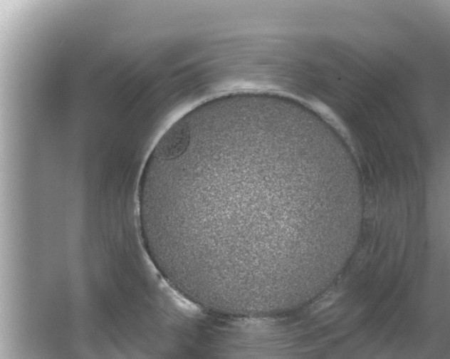 X0000067491287200604101245