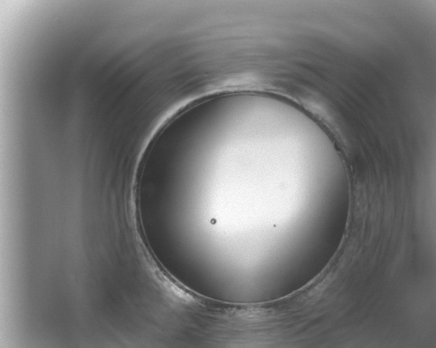 X0000067491288200604101245