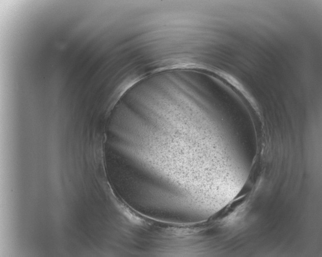 X0000067491289200604101245