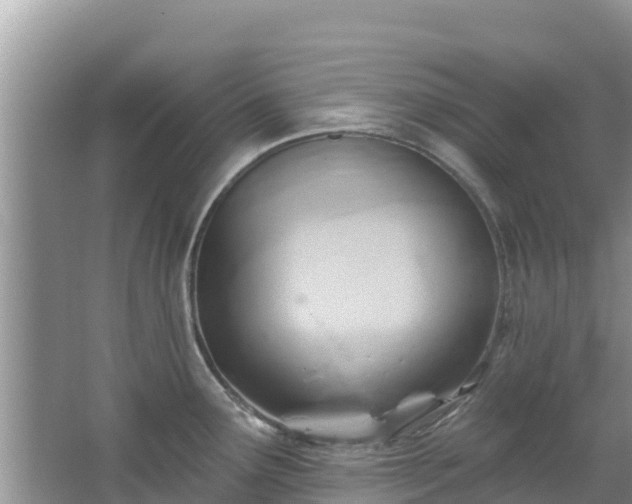 X0000067491291200604101245