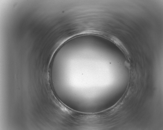 X0000067491292200604101245