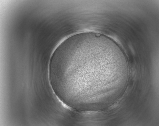 X0000067491294200604101245